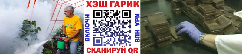 мега   Алушта  ГАШ ice o lator 