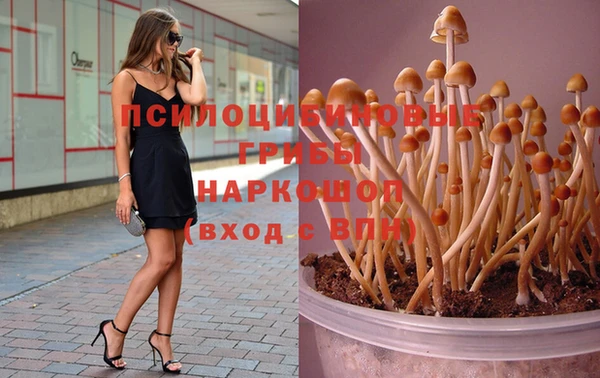 наркотики Михайловск