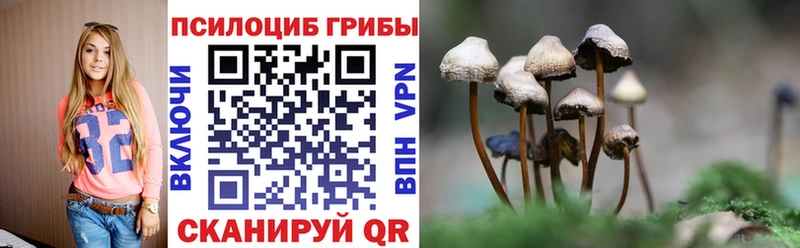 Галлюциногенные грибы Psilocybine cubensis  Алушта 