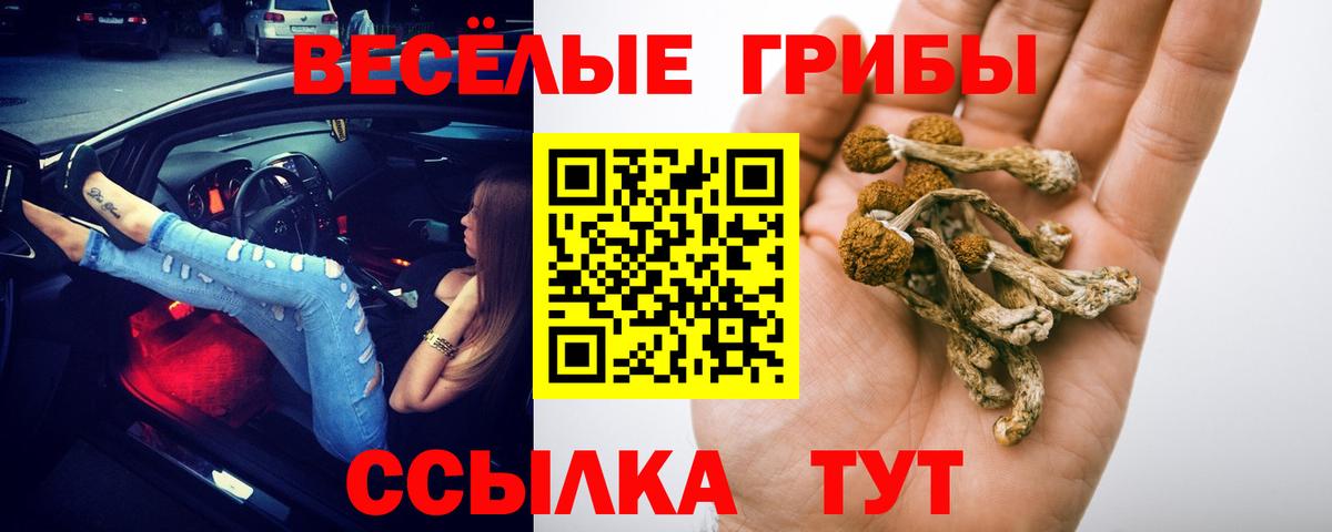 Псилоцибиновые грибы Psilocybine cubensis Алушта