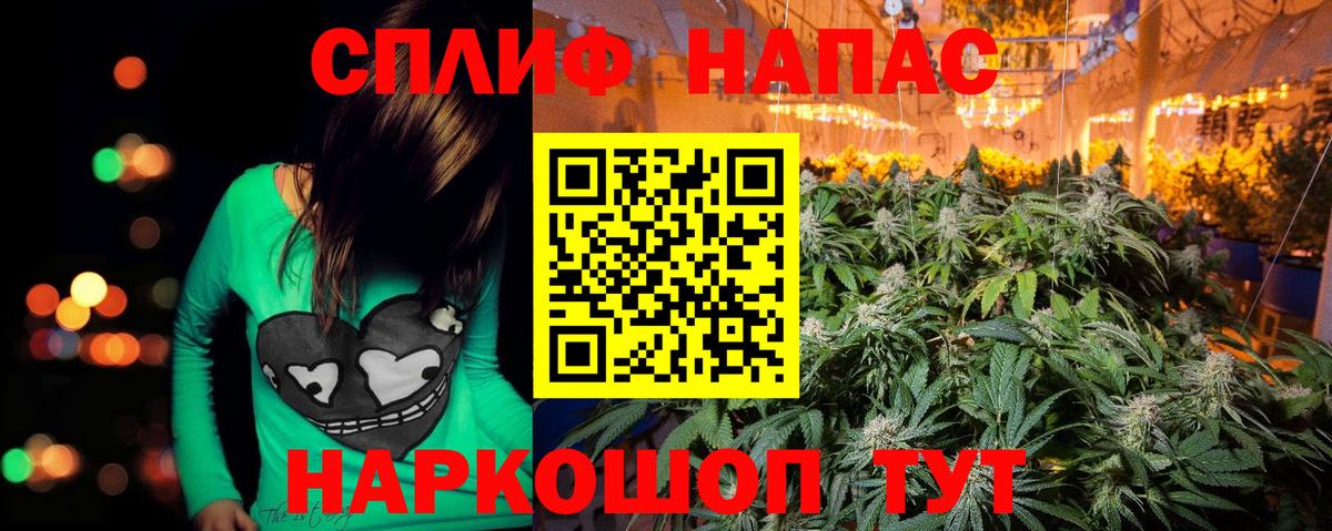 Бошки Шишки план Алушта